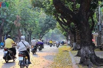 Dự báo thời tiết 5/10: Bắc Bộ se lạnh, miền Trung tiếp tục có mưa rào