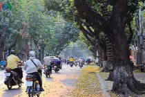 Dự báo thời tiết 5/10: Bắc Bộ se lạnh, miền Trung tiếp tục có mưa rào