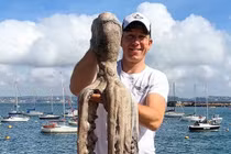 Ngư dân bắt được bạch tuộc quái vật khổng lồ dài 3m