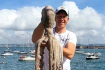 Ngư dân bắt được bạch tuộc quái vật khổng lồ dài 3m