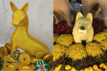 Linh vật thảm họa năm Mậu Tuất: Nơi giống lợn, nơi giống cừu