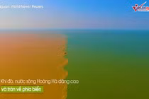Video: Cảnh tượng ngoạn mục khi sông Hoàng Hà chảy ra biển khơi 