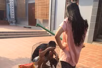 Chồng trốn đi đá gà bị vợ “đánh không trượt phát nào“ rồi nhốt chung với gà