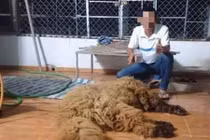 Người đàn ông Bạc Liêu giết thịt chó Ngao Tây Tạng gây sốc