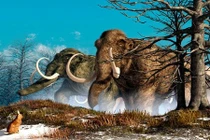 Voi ma mút sẽ được hồi sinh trong 2 năm nữa