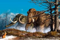 Voi ma mút sẽ được hồi sinh trong 2 năm nữa