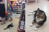 Cười rụng rốn với 1001 tư thế ngủ bá đạo của các "boss"