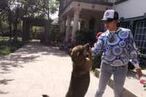 Khám phá biệt thự đẹp mê ly của “Võ Tắc Thiên” Lưu Hiểu Khánh