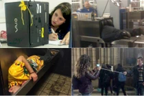 Hành động khó hiểu, gây sốc của người "ngã cây"