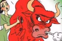 Bi hài án mạng vì... hình ảnh con bò trên lon nước 