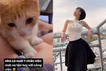 Đăng ảnh khoe mèo, Elly Trần để lộ vòng một lấp ló 