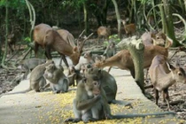 Điểm đến vừa lạ vừa quen trong dịp 2/9