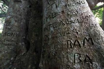 Ảnh: Ngán ngẩm nạn vẽ bậy ở Đà Nẵng