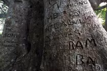 Ảnh: Ngán ngẩm nạn vẽ bậy ở Đà Nẵng