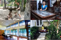 Đại gia nhà đất giới showbiz “vượt mặt” cả Đàm Vĩnh Hưng là ai? 