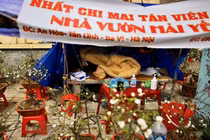 Thăm chợ Tết cổ nhất Hà Nội, cây ế chủ vườn “đắp chăn” ngủ 