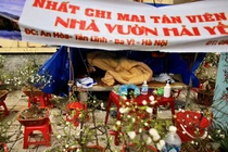 Thăm chợ Tết cổ nhất Hà Nội, cây ế chủ vườn “đắp chăn” ngủ 