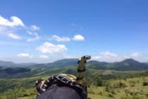 Chàng trai Việt mang rắn hổ mang đi du lịch khắp nơi