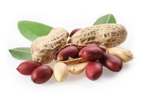 Kinh ngạc công dụng kỳ diệu khi mỗi ngày ăn vài hạt lạc