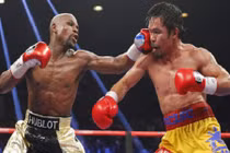 Mayweather bị tước đai vô địch đắt giá do không nộp tiền
