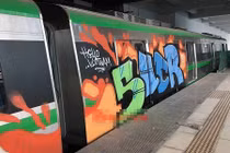 Tàu điện trên cao Cát Linh - Hà Đông bị vẽ bậy: “Sáng tạo” hay “phá hoại“?