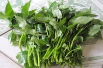 Sai lầm khi sử dụng rau muống gây hại cực kỳ nghiêm trọng 