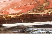 Cứu 18 thuyền viên bị chìm trên biển