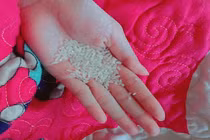 Nữ sinh sư phạm "nghiện" ăn gạo sống gây choáng