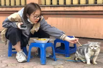 Dỗi "con sen" ăn mảnh, "boss" mèo lộ biểu cảm cưng muốn xỉu