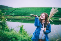 Đảo chè Nghệ An, điểm check-in xanh mượt cho dân phượt