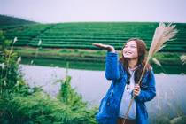 Đảo chè Nghệ An, điểm check-in xanh mượt cho dân phượt