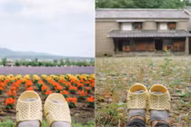 “Thánh” dép tổ ong tái xuất với chuyến rong ruồi miền Bắc nước Nhật