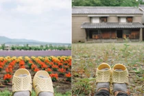 “Thánh” dép tổ ong tái xuất với chuyến rong ruồi miền Bắc nước Nhật