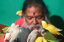 Kỳ lạ người đàn ông rơi xuống núi, tỉnh dậy biến thành “vua chim”