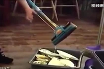 Phục vụ nhà hàng vắt nước giẻ lau vào bát đĩa khách ăn 