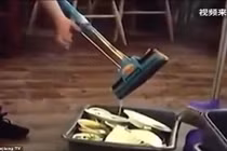 Phục vụ nhà hàng vắt nước giẻ lau vào bát đĩa khách ăn 