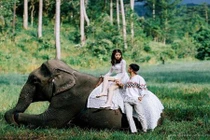 Dân mạng bị bộ ảnh cưới của cặp đôi phượt thủ hút hồn