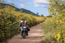 4 con đường ở Tây Nguyên đẹp như cảnh trên phim Hàn