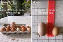 Đập quả trứng to hơn bình thường, cô gái thảng thốt vì cảnh tượng lạ 