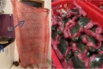 Có 1-0-2: Mua cua biển được tặng cả...“áo mưa“