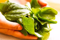 Ăn gì bổ phổi, thở sâu? 14 thực phẩm có ngay ở quanh bạn