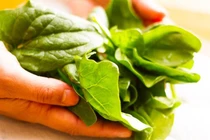 Ăn gì bổ phổi, thở sâu? 14 thực phẩm có ngay ở quanh bạn