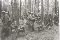 Cuộc chiến tranh nào có hơn 500.000 chú chó vào trận?