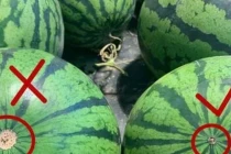 Cách chọn dưa hấu, dưa lê ngon ngọt chỉ với 3 giây 