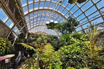 Khám phá bên trong khu bảo tồn côn trùng ở Thái Lan