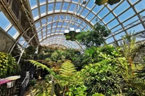 Khám phá bên trong khu bảo tồn côn trùng ở Thái Lan