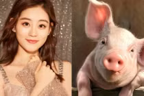 Tháng 12 âm lịch: 3 con giáp đổi đời, năm Tân Sửu càng vượng phát