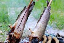 Loạt món ngon từ cá lóc ở miền Tây