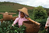 Tò mò đất nước Trung Quốc năm 1979 dưới ống kính Eve Arnold