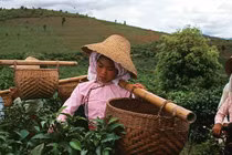 Tò mò đất nước Trung Quốc năm 1979 dưới ống kính Eve Arnold